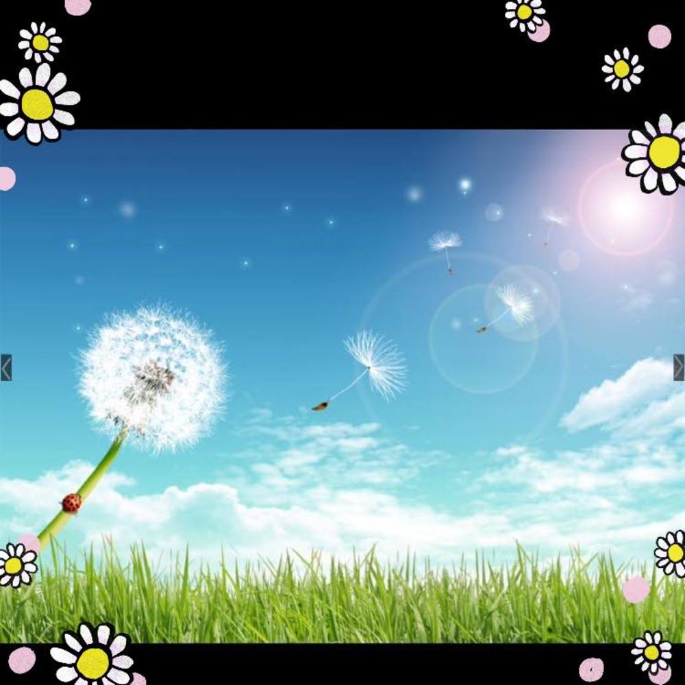 Meet your Posher, Theresa